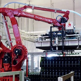 Robotic Palletising System | Allians Robotic 