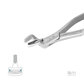  Surgical Forceps | 10S Molars and Third Molars