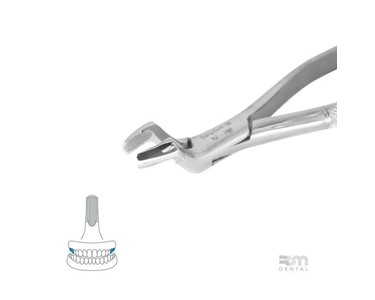  Surgical Forceps | 10S Molars and Third Molars