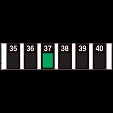 Temperature Strips