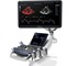 Portable Vet Ultrasound Machine | Vetus 8