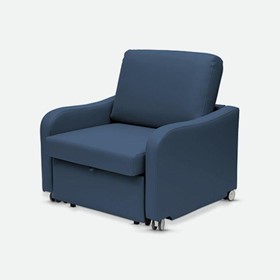 Comfy Sleeper Chair-Bed 