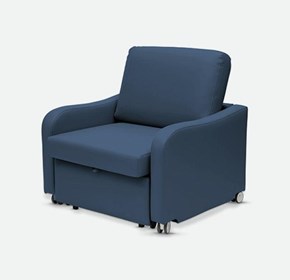 Aspire Comfy Sleeper Chair-Bed 
