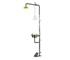 Combination Shower With Single Nozzle Eye Wash With Bowl & Foot Tread