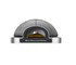 OEM Electric Dome Pizza Oven