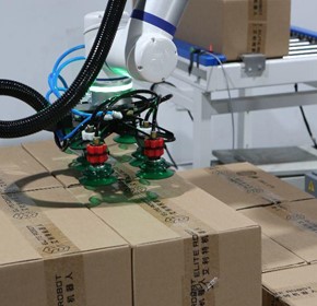 Palletising Unit (Fixed Height) CPF10