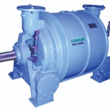 Liquid Ring Vacuum Pump