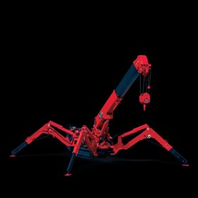 Mini Crawler Crane URW295 