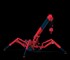 Unic - Mini Crawler Crane URW295 