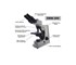 Optek - Binoc Lab Microscope BM300 | Veterinary Microscope