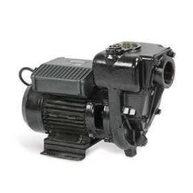 AC Diesel Transfer Pump | E300 