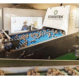Potato and Onion Sorting Machine