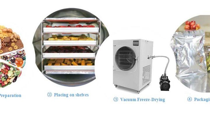 Freeze drying food