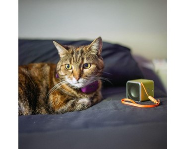 Pet Acoustics - Species-Specific Calming Music for Pets