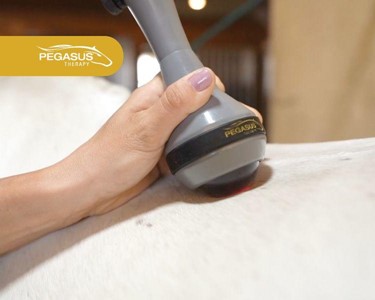 Pegasus - Pegasus® PTX-IQ Equine Veterinary Laser