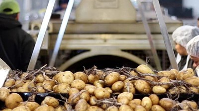 Dounan Farmers Association