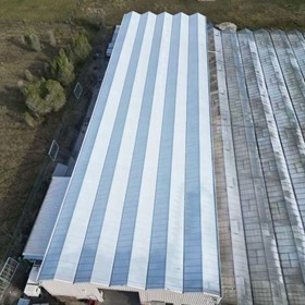 Greenhouse Roof Whitewashing – Fast, Safe, and Cost-Effective with Drone Technology