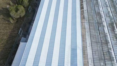 Greenhouse Roof Whitewashing – Fast, Safe, and Cost-Effective with Drone Technology
