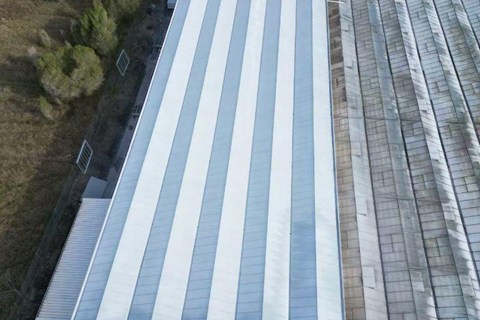 Greenhouse Roof Whitewashing – Fast, Safe, and Cost-Effective with Drone Technology
