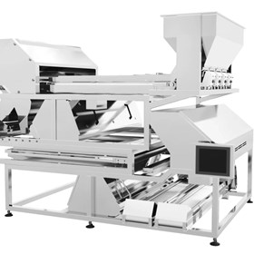 Coffee Bean, Peanut, Walnut & Pine Nut Belt Colour Sorter – KMS