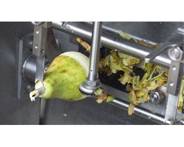 PND Fruit Processing Machinery - SUMMIT MACHINERY - PND PL2|4|6|8 Peeling, Coring & Cutting Machine