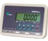 Wedderburn - Industrial Digital Indicator for Weighing Equipment | TSDI166