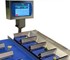 Marco - Super SelectMaster Combination Weigher 