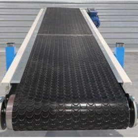 Food Conveyor | Bagging Conveyors