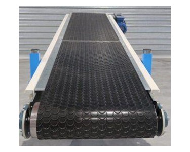 Packweigh - Food Conveyor | Bagging Conveyors