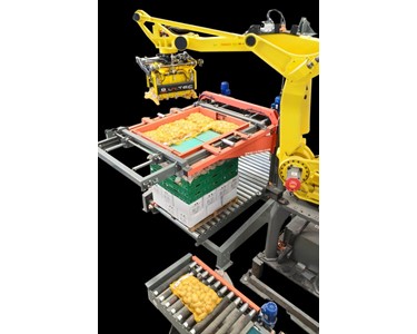 Aurora - APR-LI Robotic Palletizer