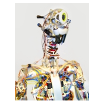 Humanoid robot makes maxon flex its muscles