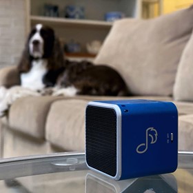 Species-Specific Calming Music for Pets