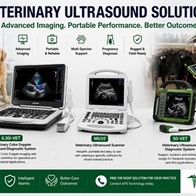 Choosing the Right Veterinary Ultrasound System for Your Practice: A Practical Buying Guide