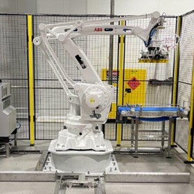 Robotic Palletiser | Collection