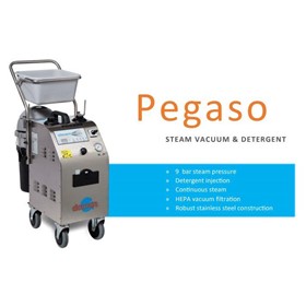 Pegaso Steam Cleaner 10A or 15A Single Phase