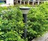 Garden Light | DHB-1168 | Kasesware Lighting