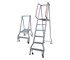 Monstar Ladders - Platform Ladder | 150Kg 