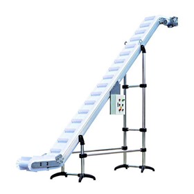Hygienic Cleated Upfeed Conveyors | CPW-C1
