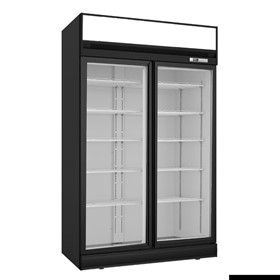 Black Upright Double Glass Door Freezer - LG-1006DF