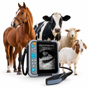 M5V Portable Waterproof Veterinary Ultrasound