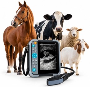 M5V Portable Waterproof Veterinary Ultrasound