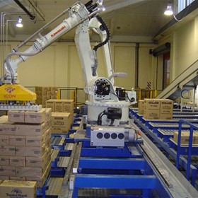 Robotic Palletizing Systems | Cartons