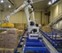 Palletizing Systems | Cartons