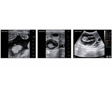 APS Technology Australia - Compact Touch Veterinary Ultrasound System – BestScan® S6 Touch