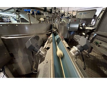 Produce Singulator | Wyma Solutions