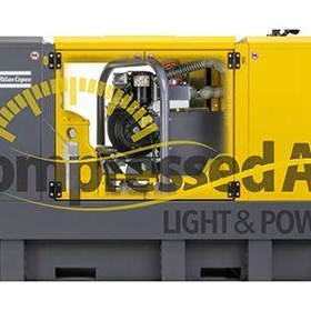 Self Priming Diesel Pump WEL PST 100