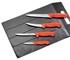 Giesser - WildLine Hunting and Fishing Set 4 Knives