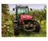 Massey Ferguson - Tractors | MF 3700
