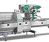 Horizontal Flow Wrapper Machines | FP 095E