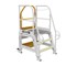 Steprite - Mobile Platform Ladder | 750mm